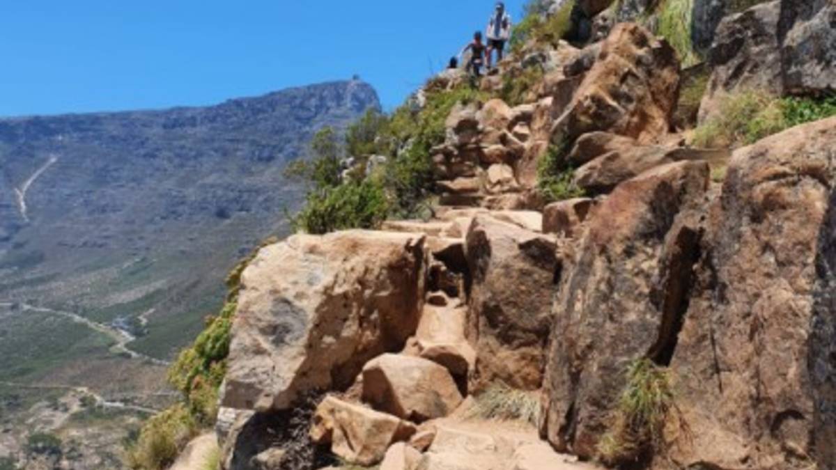 tour operator in cape town